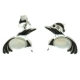 Pendientes piedra luna