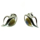 Pendientes labradorita