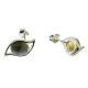 Pendientes labradorita