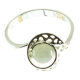 Anillo piedra luna