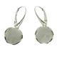 Pendientes piedra luna